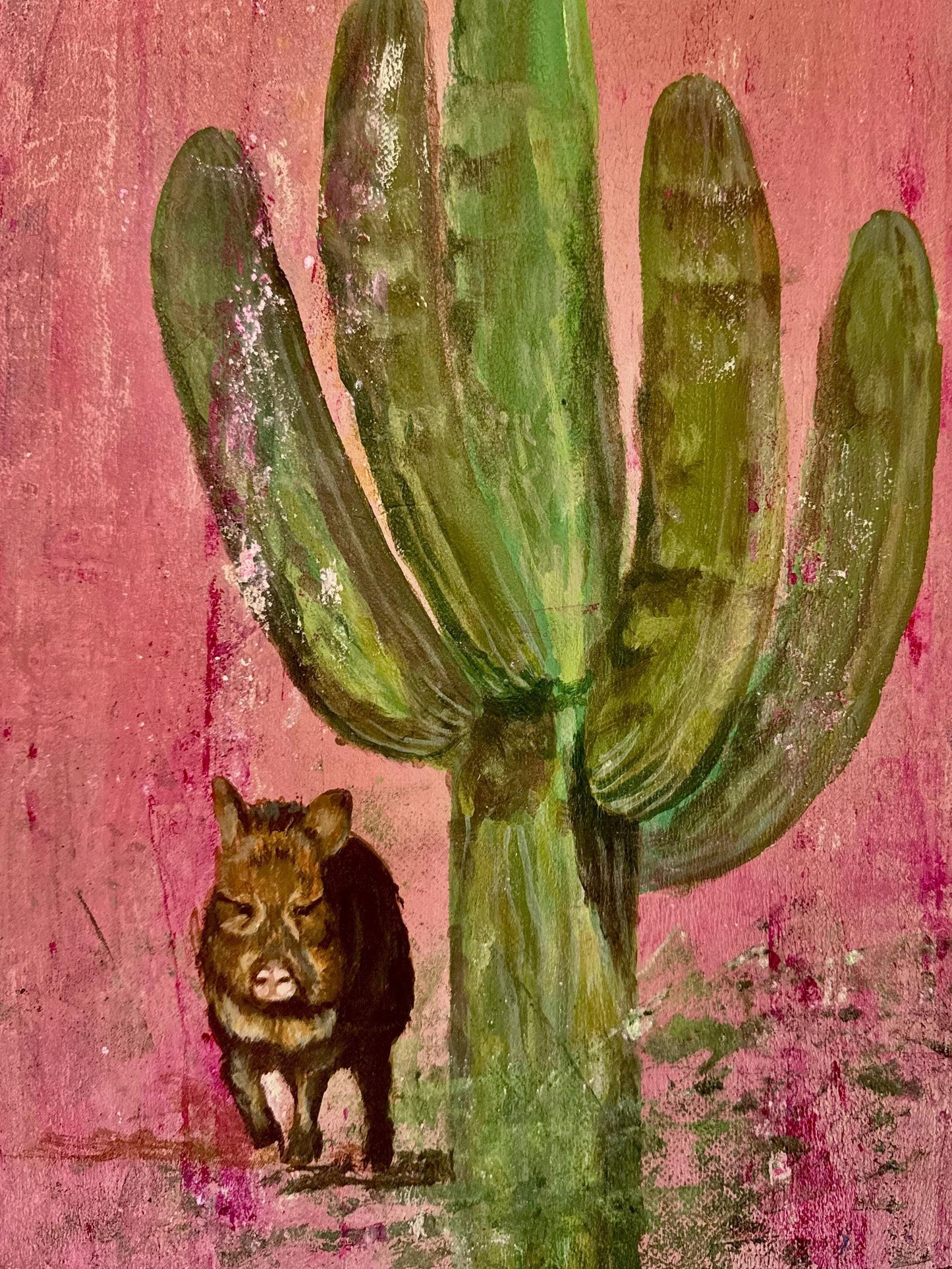 Javalina &quot;The Bodie&quot; Critter Cactus Saguaro Limited Edition, Numbered & Signed Print Jennifer Summa Original Art Fine Art
